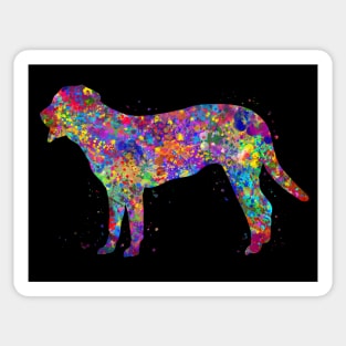 Swiss Mountain dog watercolor Sticker